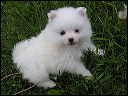 pict0015