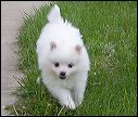 pict0023