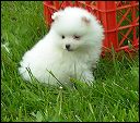 pict0031