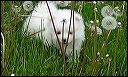 pict0035