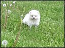 pict0041