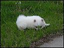pict0042