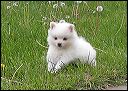 pict0046