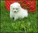 pict0048