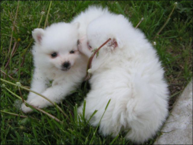 pict0003.jpg