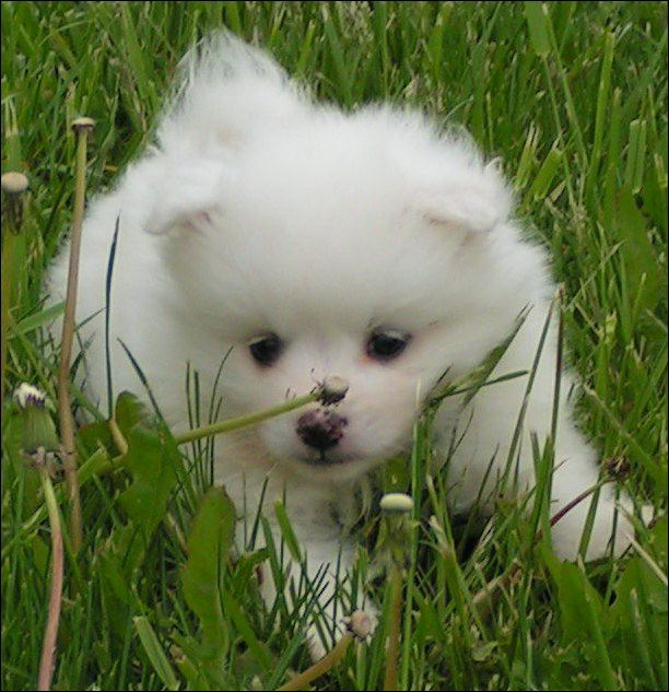 pict0030.jpg