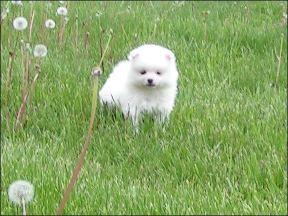 pict0041.jpg