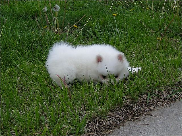 pict0042.jpg