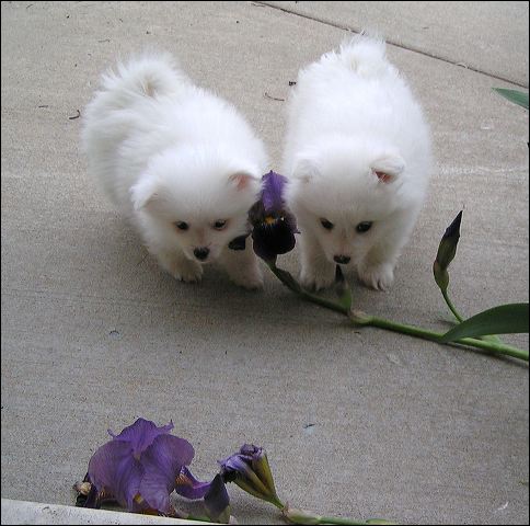 pict0004.jpg