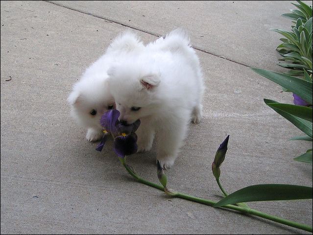 pict0005.jpg