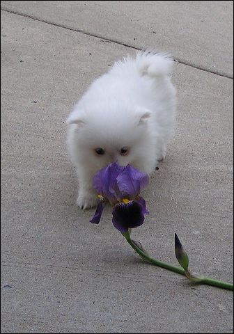 pict0006.jpg