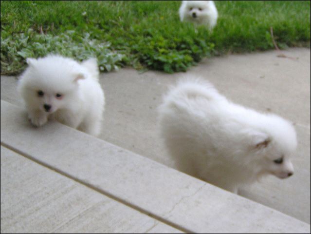 pict0007.jpg