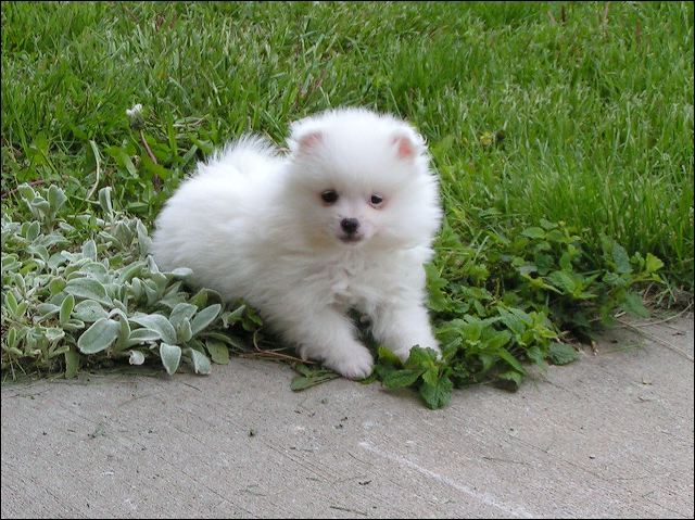 pict0020.jpg