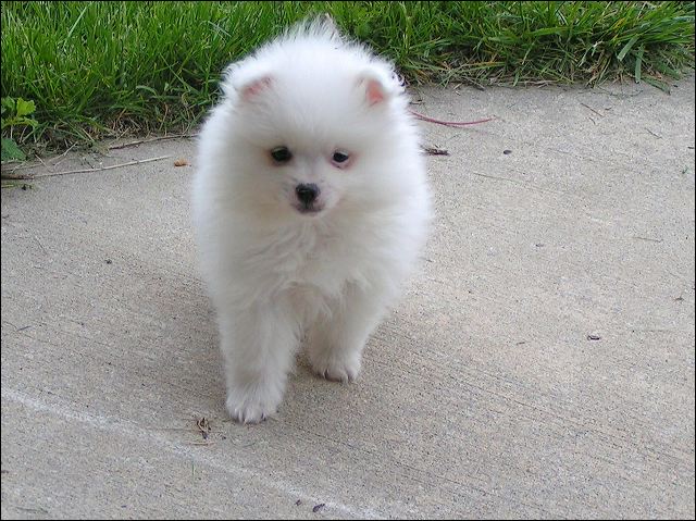 pict0021.jpg