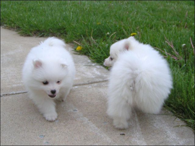 pict0023.jpg