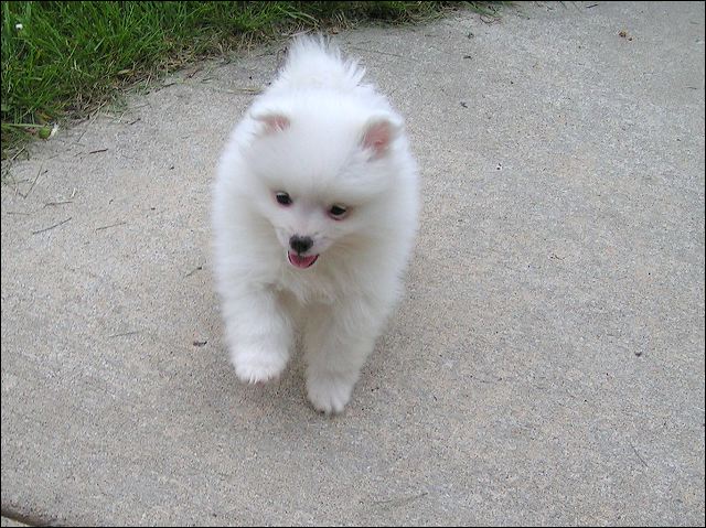 pict0025.jpg