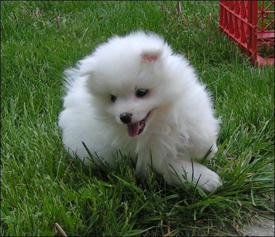 pict0028.jpg