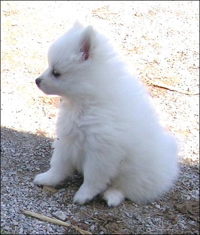 pict0002.jpg