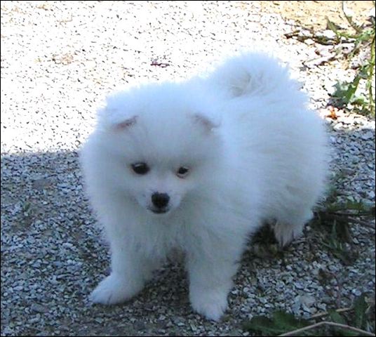 pict0004.jpg