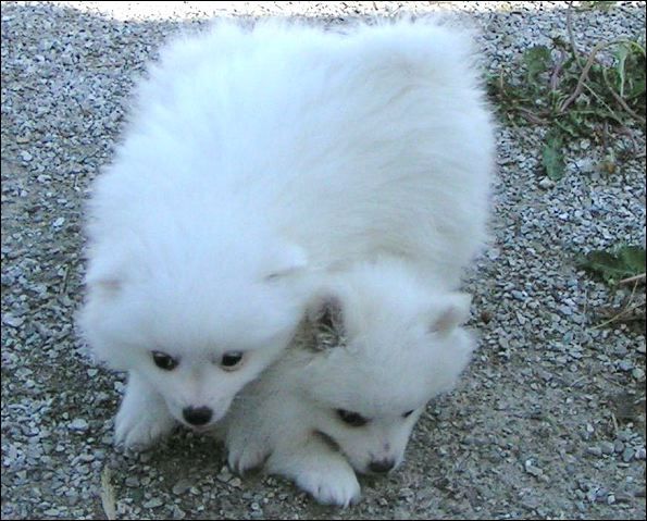 pict0005.jpg