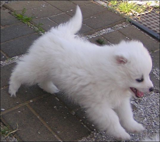 pict0010.jpg