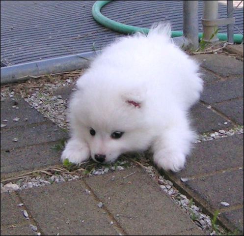 pict0015.jpg