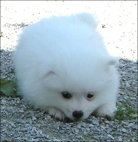pict0016.jpg
