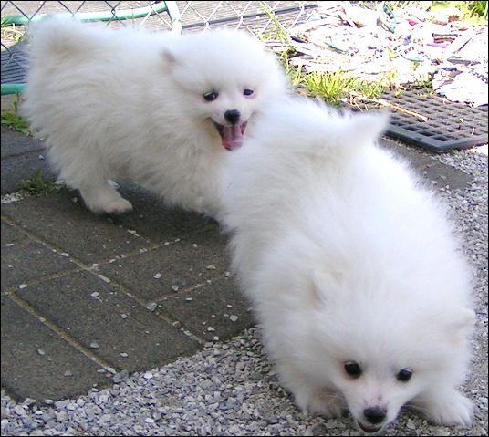 pict0017.jpg