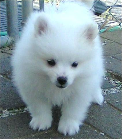 pict0018.jpg