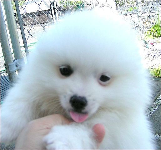 pict0021.jpg