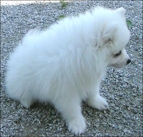 pict0022.jpg