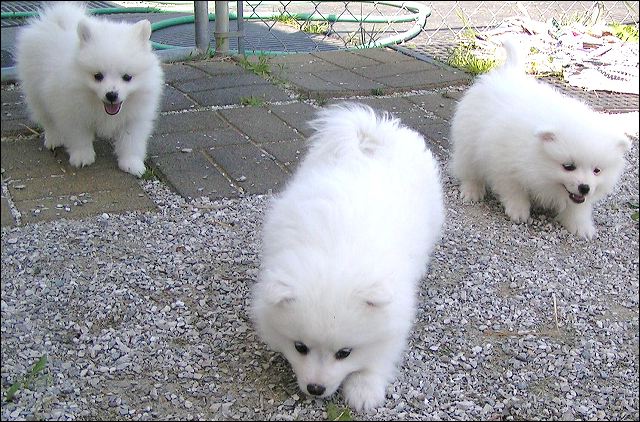 pict0024.jpg