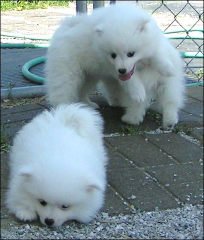 pict0027.jpg