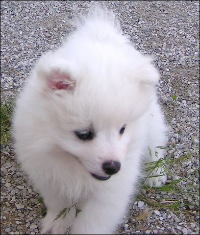 pict0028.jpg