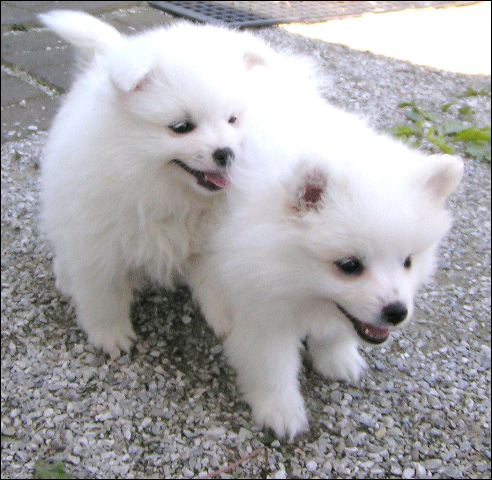pict0029.jpg