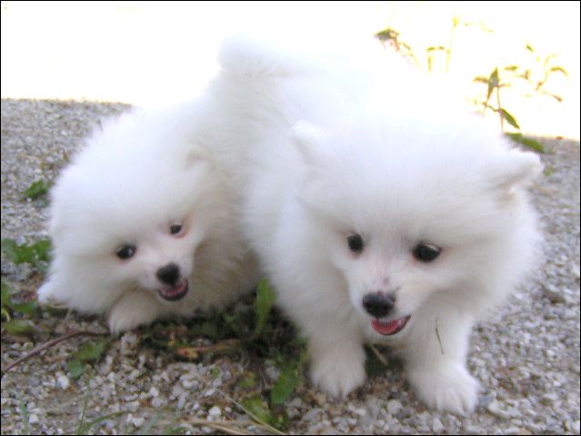 pict0035.jpg