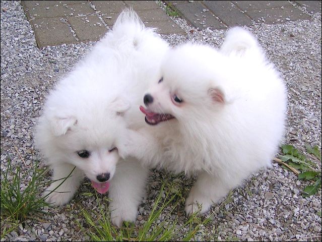 pict0036.jpg