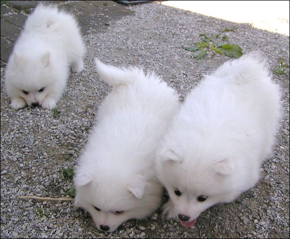 pict0039.jpg
