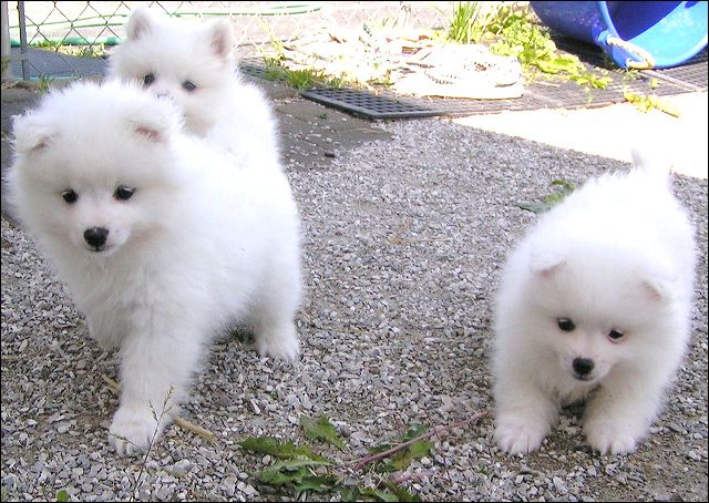 pict0040.jpg