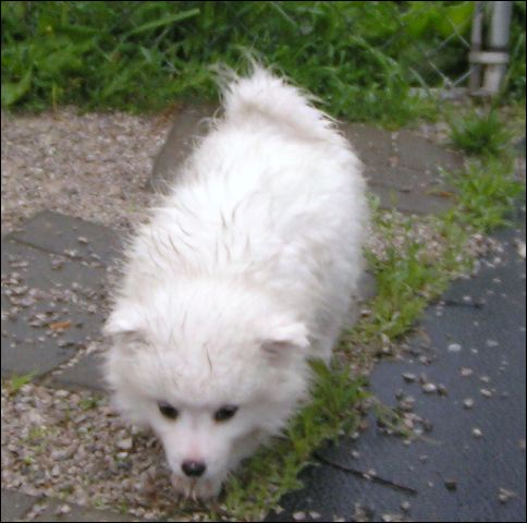 pict0001.jpg