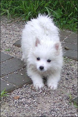 pict0003.jpg