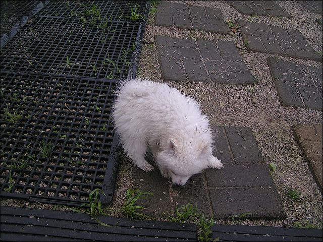 pict0004.jpg