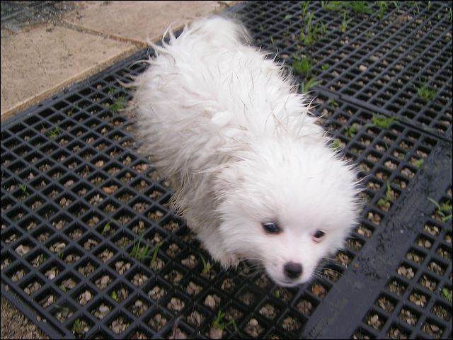 pict0005.jpg