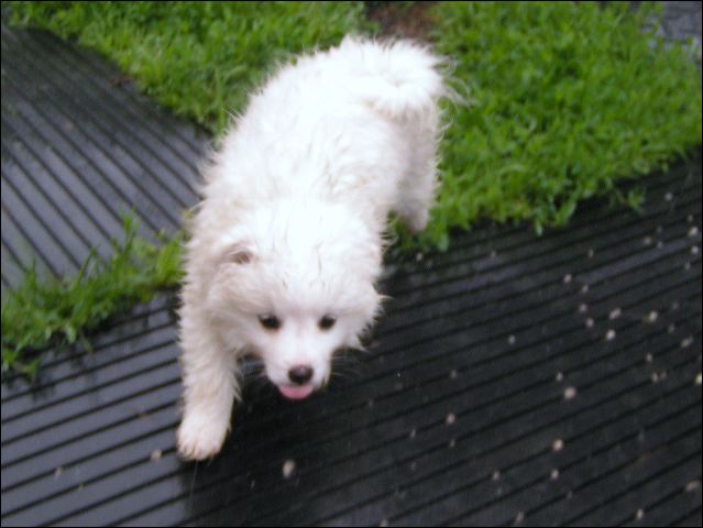 pict0009.jpg