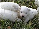 pict0005