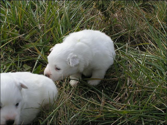 pict0004.jpg