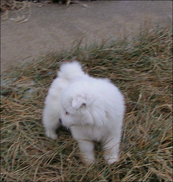boy-1.jpg