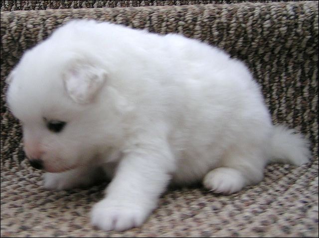 boy-3.jpg