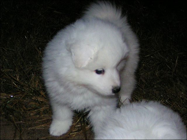 boy-1.jpg
