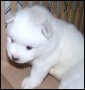 PICT0010.JPG 